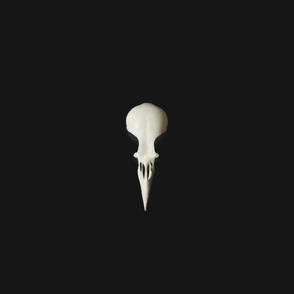 Fierce Elegance: The Viking Skull Infinity Name Bracelet Explained with ...