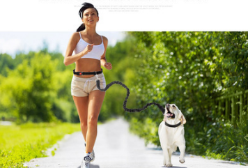 Dog Running Belt