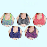 Push Up Sports Bras- Wire-Free