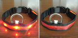 Flashing Dog Collar  With LED Light