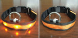 Flashing Dog Collar  With LED Light