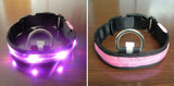 Flashing Dog Collar  With LED Light