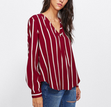 Long Sleeve Striped V-Neck Shirt