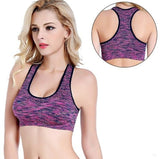 Push Up Sports Bras- Wire-Free