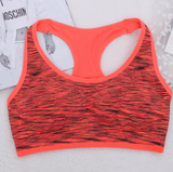 Push Up Sports Bras- Wire-Free