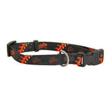 Team Sport Collars (Football / Baseball)
