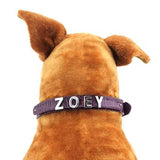 Custom Dog Collar