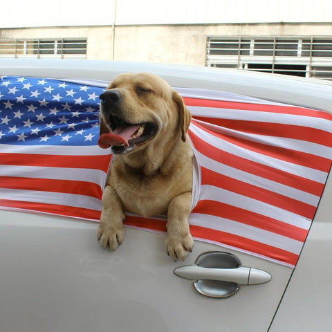 Universal Car Window Cover with Hole for Pet Dog