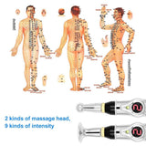 Acupuncture Pen + 2 Gel & Massage Heads+ FREE Ear Acupuncture Point Probe